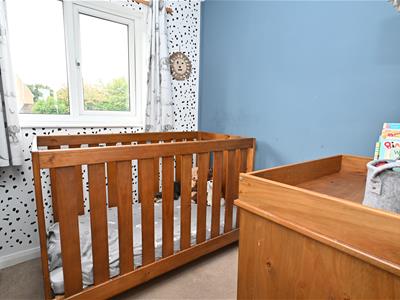 Picture 11